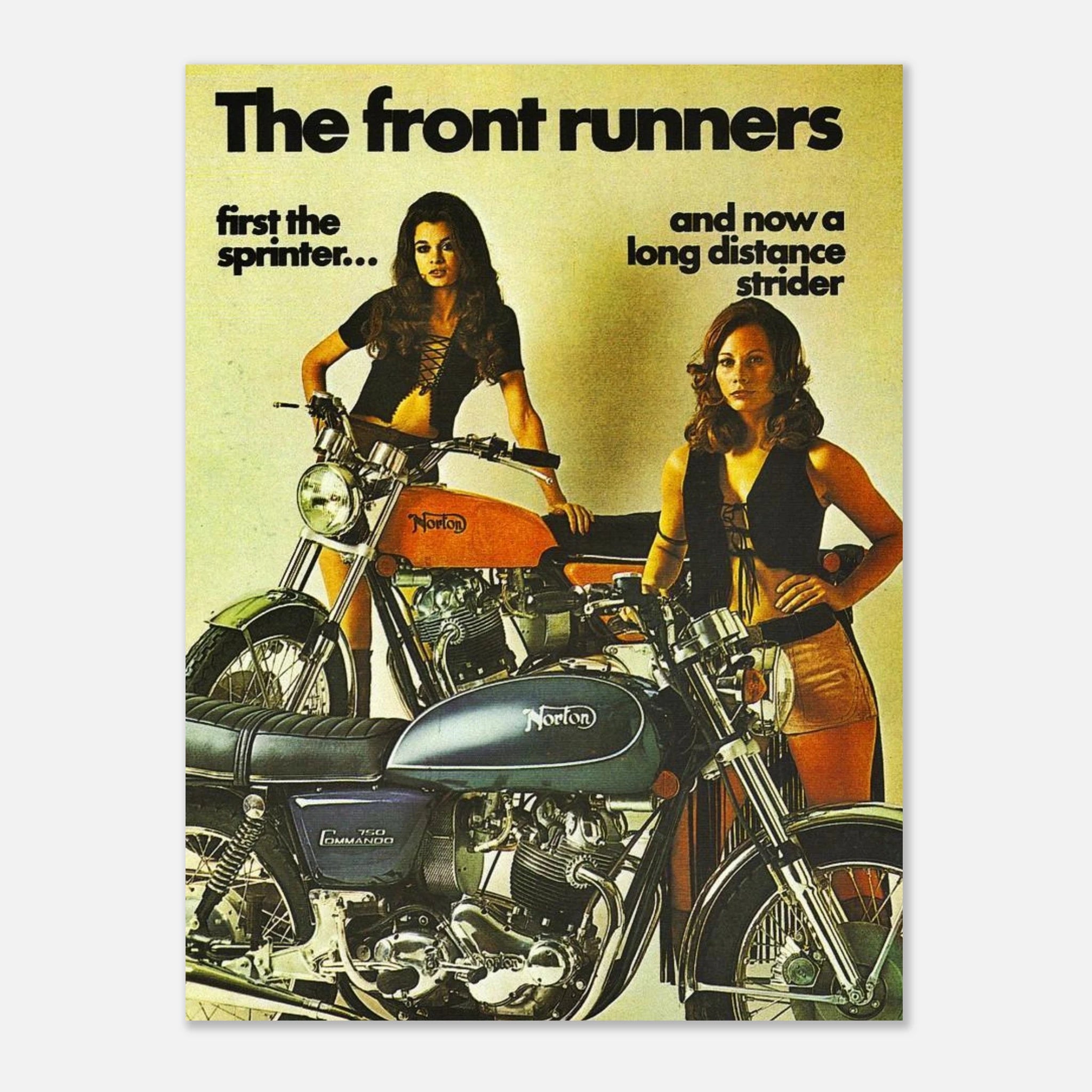 3d17a61c-34ae-482d-8d52-ddc824ac1e43